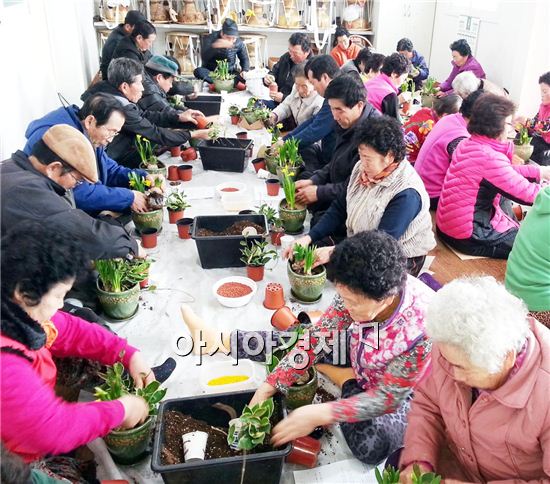 생활원예 교육에 참여한 함평읍 성북마을 노인들이 정성을 다해 화분을 만들고 있다.