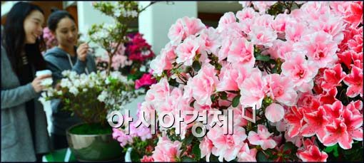 [포토]철쭉꽃 보는 시민들