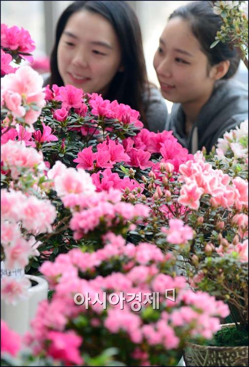 [포토]환하게 핀 철쭉꽃을 보며