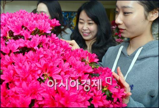 [포토]활짝 철쭉꽃을 보고 미소짓는 시민들