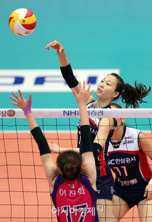 [포토] 백목화 '가볍게~'