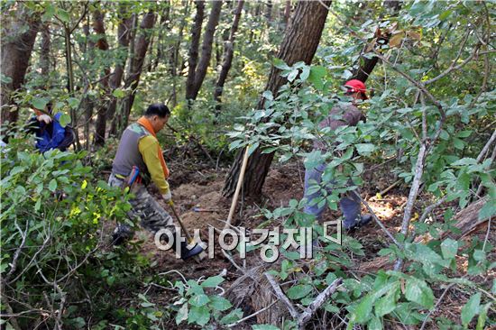 정읍시, 산림사범 집중 단속 나서