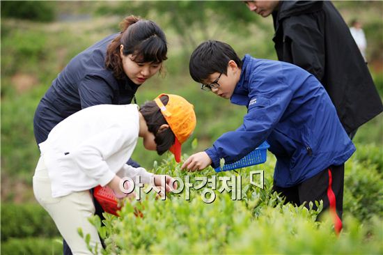 제39회 보성다향제 녹차대축제 5월 14일부터 6일간