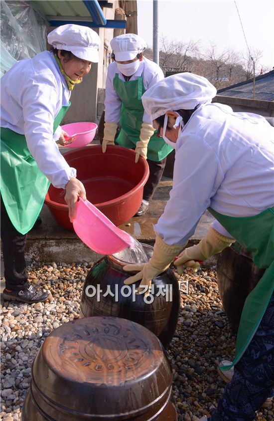 담양군 송정마을 새마을부녀회 회원들이 깨끗하게 씻은 메주를 항아리에 담아 장을 담갔다.