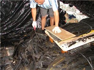 완도군 해조류 부산물 재활용사업 ‘성과’
