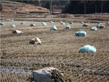 완도군 해조류 부산물 재활용사업 ‘성과’