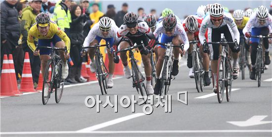 도로 역주하는 사이클