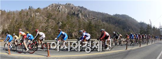 [포토]봄의 길을 질주하는 사이클 선수들 