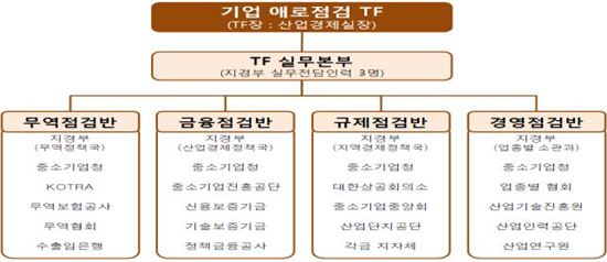 정부 "'기업애로점검 TF' 발족, 손톱 밑 가시 뺀다"