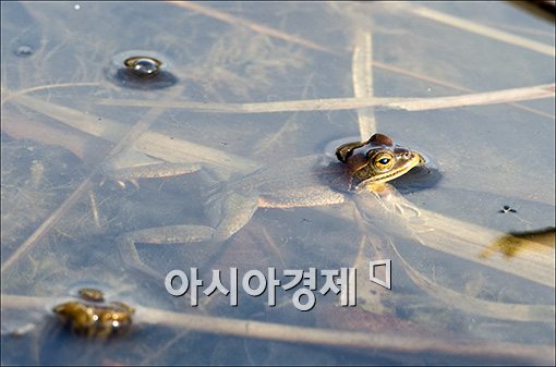 [포토]'개골, 개골, 저 일어났어요'