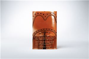 KT&G, 아레나의 감각 입은 '디스플러스' 한정판 출시