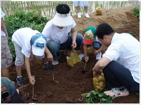 은평구 진관동ㆍ증산동 주말농장 분양