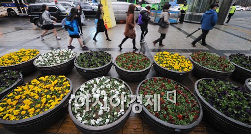 [포토]봄이 오는 길목에서 