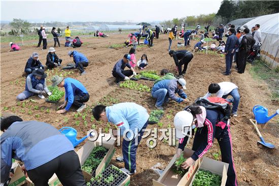 장성군, “주말에 가족들과 텃밭을 가꿔보세요!”