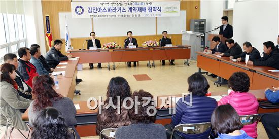 강진 아스파라거스 안정적 유통경로 확보