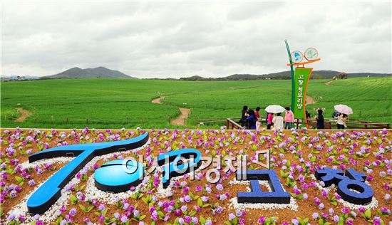 고창청보리밭 축제   4월 20일 개막