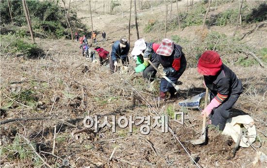 함평군,  ‘녹색 숲 조성’ 총력