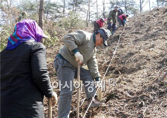 함평군,  ‘녹색 숲 조성’ 총력