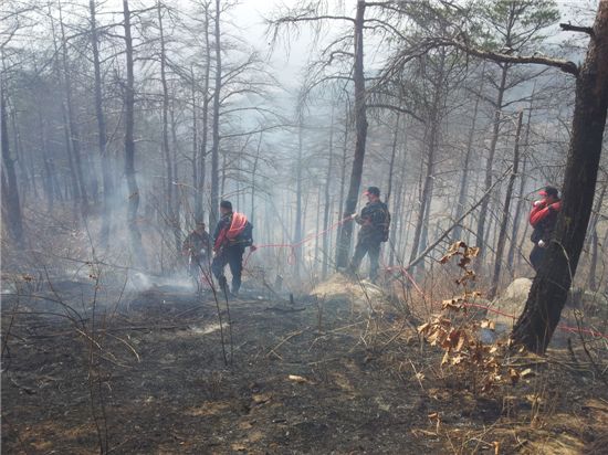 강원도 양양군 현남면 산불현장에서 잔불을 끄고 있는 산불진화대원들(사진 : 산림청 산불방지과 제공)
