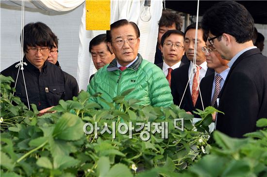 [포토]박준영 전남지사, 강진 영농조합 방문