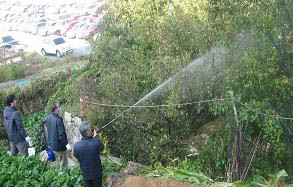 광주시 서구, 봄철 해빙기 조기방역으로 건강도시 앞장