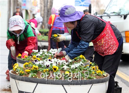 [포토]광주시 동구, 도심 가로화단 봄꽃 식재