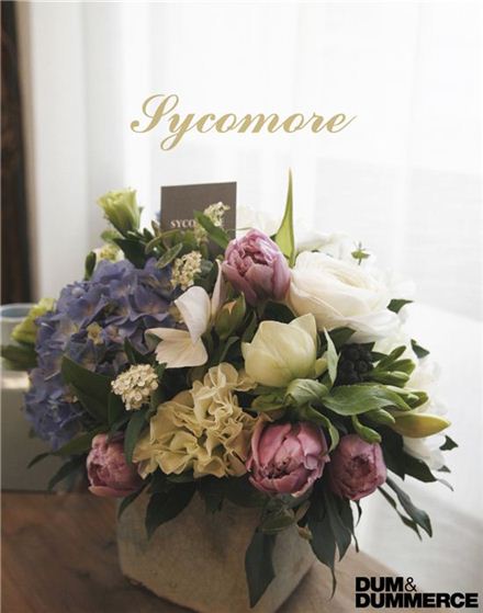 덤앤더머스, 국내 최초 플라워 서브스크립션 론칭