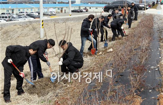 함평군 식목일 맞아 매화나무 식재