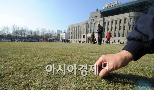 [포토]서울광장 봄 맞이중 