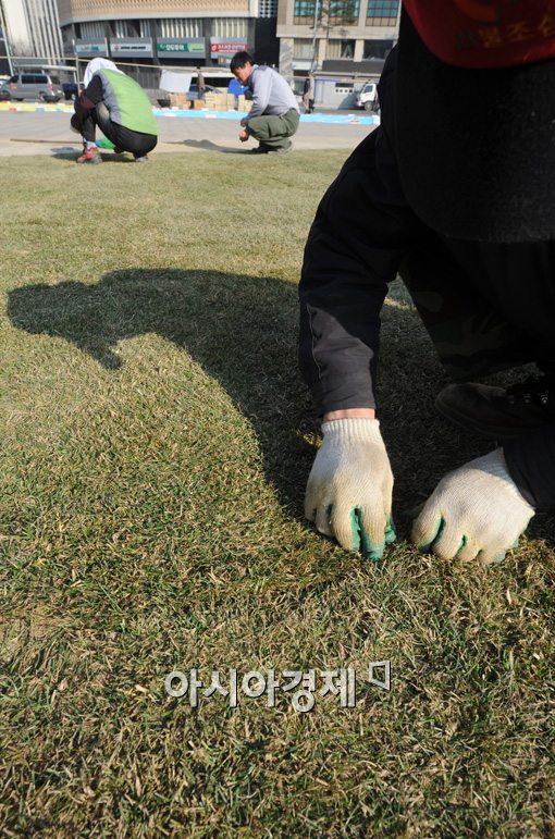 [포토]봄을 맞이하는 손길 