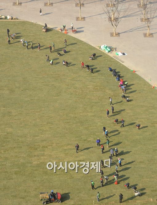 [포토]서울광장 모두 손으로 심어진 잔디들 