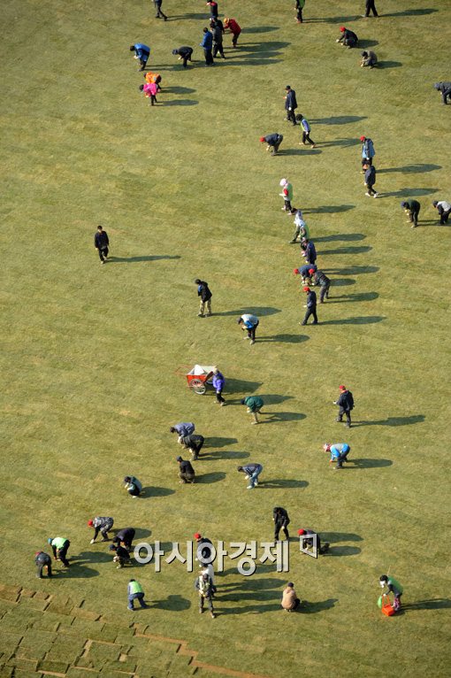 [포토]봄을 전하는 서울광장 
