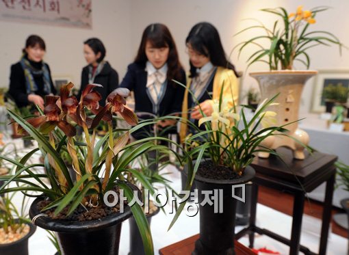 [포토]아름다운 춘란에 여심 흔들 