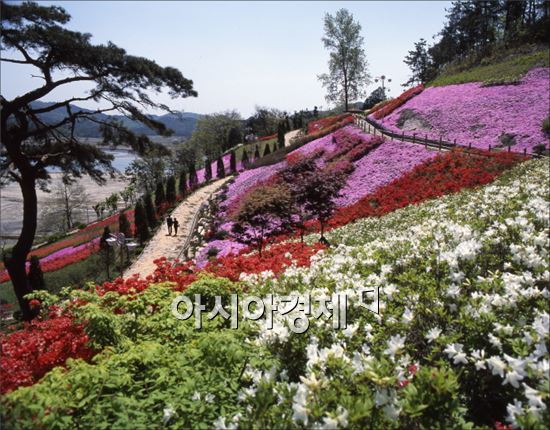영광 진내리 꽃동산