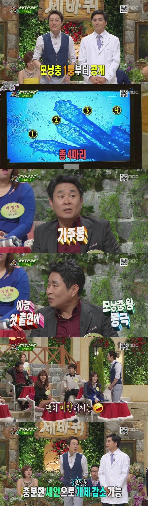 '세바퀴' 기주봉, 예능 첫 출연에 모낭충 왕 등극 '씁쓸'