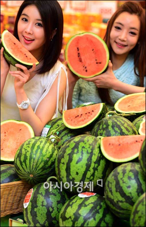 [포토]봄 수박이 왔어요~