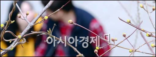 [포토]산수유 피기 시작하는 서울도심
