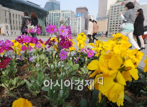 [포토]꽃 위를 걷는 봄처녀들?