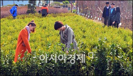 [포토]산림조합중앙회 2013년도 나무시장 개장
