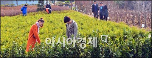 [포토]봄의 알림, 나무시장 개장
