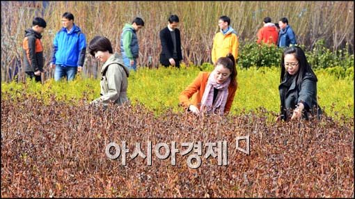 [포토]나무시장 개장, 봄의 시작