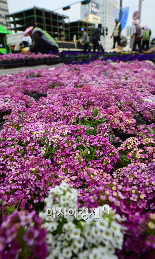 [포토]봄을 맞이하는 손길들 