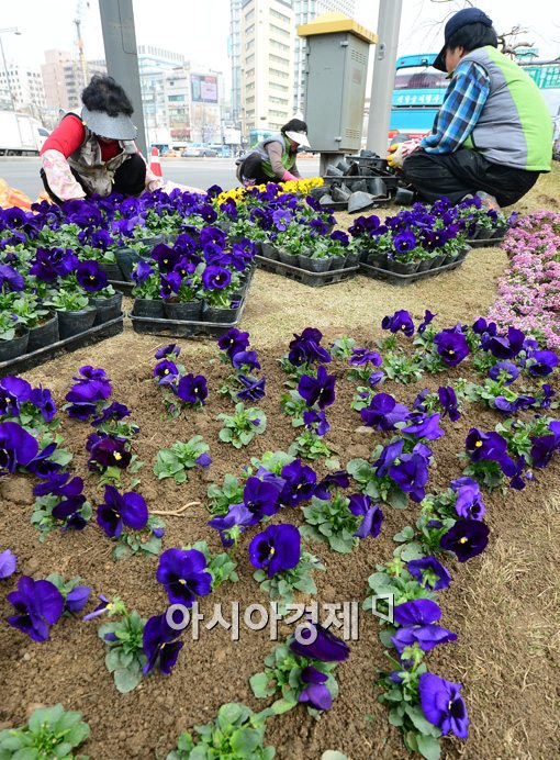 [포토]한 송이, 한 송이, 손으로 