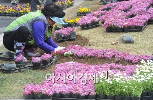 [포토]봄옷 갈아입는 화단 