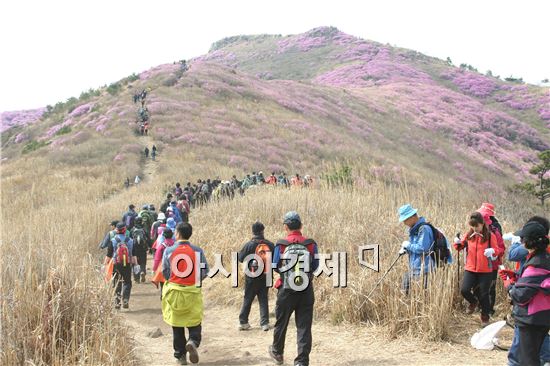 [남도 꽃 여행] 연분홍 진달래 향기에 취해볼까?