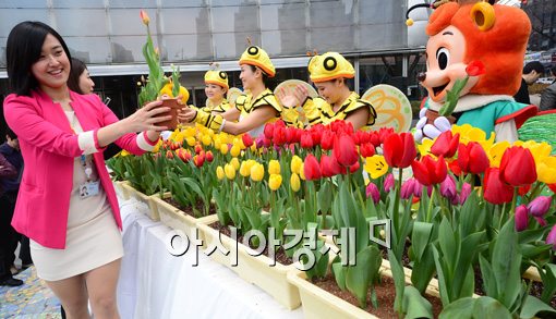 [포토]봄소식 전하는 튤립들 