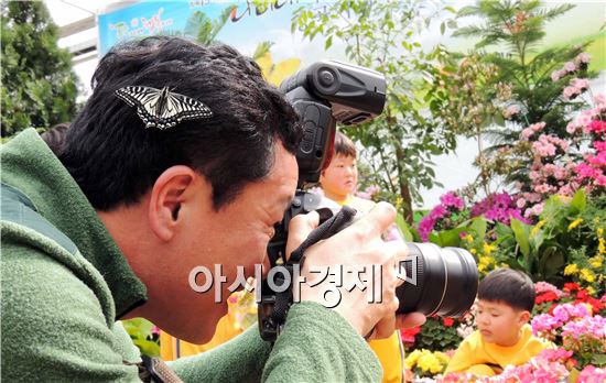 [포토]사진기자 머리에 앉은 호랑나비