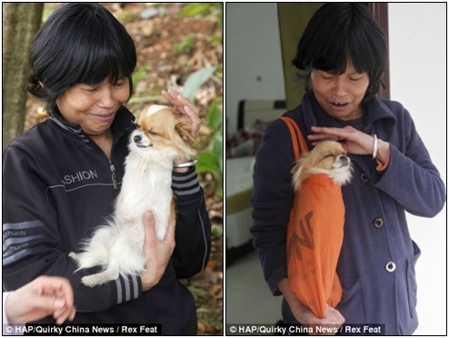 어느 장애견의 산책…'눈빛'이 낳은 기적 
