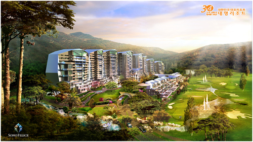 대명리조트 특별분양, 지금이 절호의 구입기회