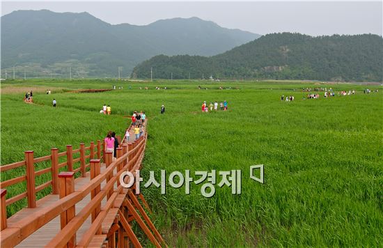 순천만